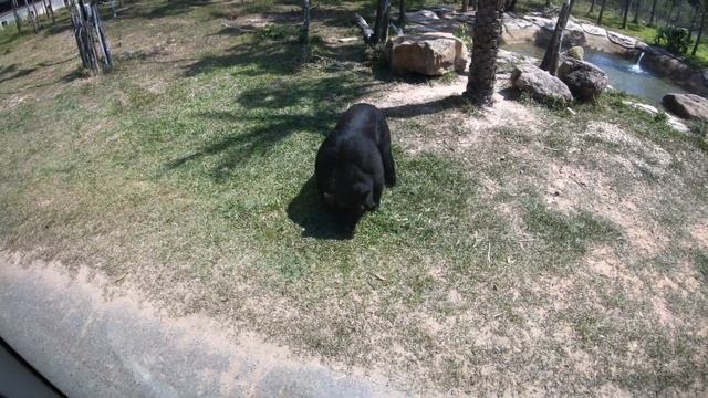 Вьетнам с детьми - о.Фукуок - Топовые места