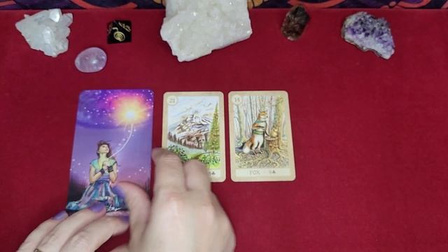 PICK A CARD: YES OR NO? + Advice | Tarot and Oracles Reading | Ask any Question! смотреть онлайн