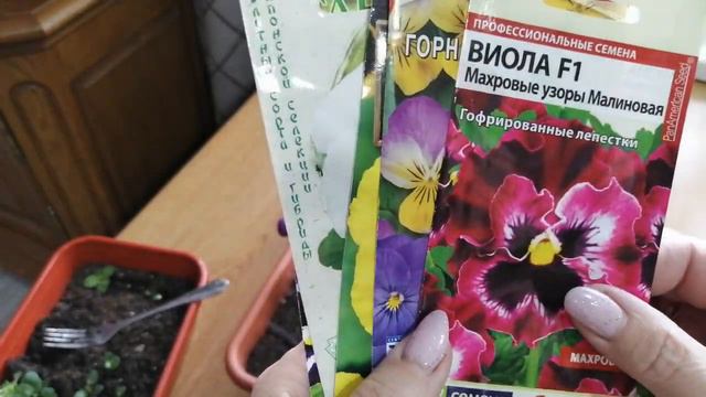 Посевы Виолы. шок! смотреть онлайн