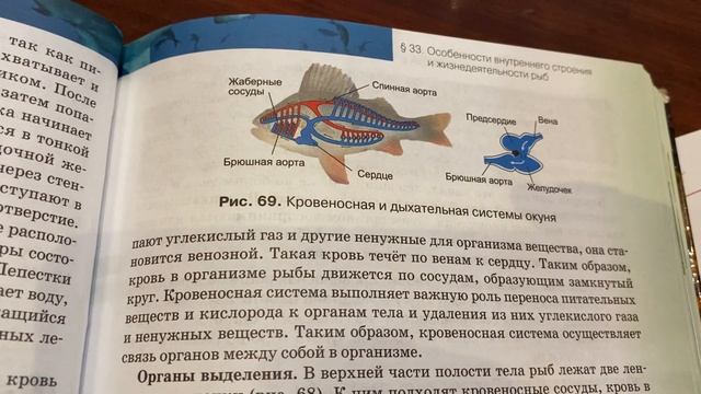 Биология/7 кл/Тихонова/Особенности внутреннего строения и жизнедеятельности рыб/07.02.22 смотреть онлайн