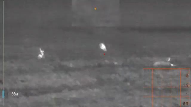 Кабаны на потравах смотреть онлайн