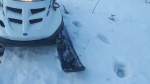 Покатушки на снегоходе Polaris WideTrack LX 500