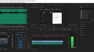 Как сделать звук на два канала в Adobe Premiere Pro