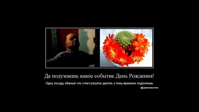 V.P - День Рождения один раз в году и секретная жизнь внука смотреть онлайн