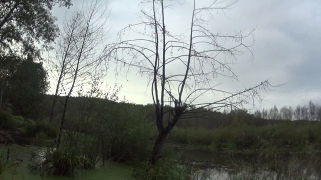 Открытие охоты на уток 2021. смотреть онлайн