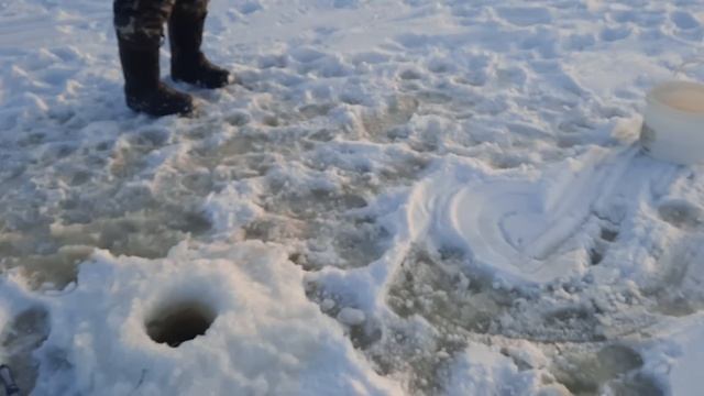 НАЛОВИЛИ ГОРУ ЩУКИ! ЭТО НАДО ВИДЕТЬ! Зимняя рыбалка 2023 !Рыбалка на жерлицы 2023 смотреть онлайн