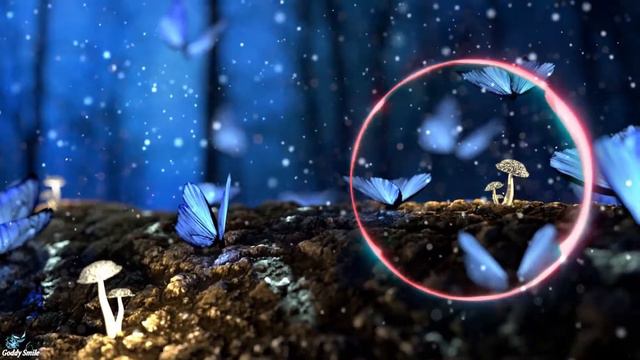 ❤🔥♡Enrico Caruso Violin COVER by Viktor Angelov! смотреть онлайн