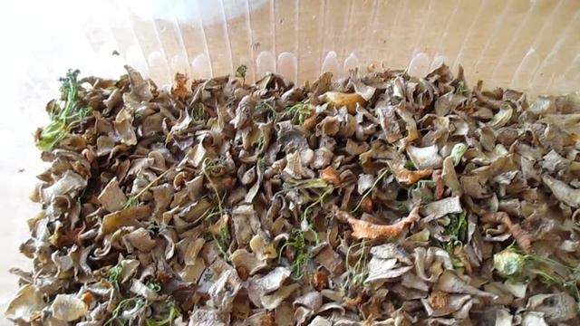 Творчество и Вдохновение