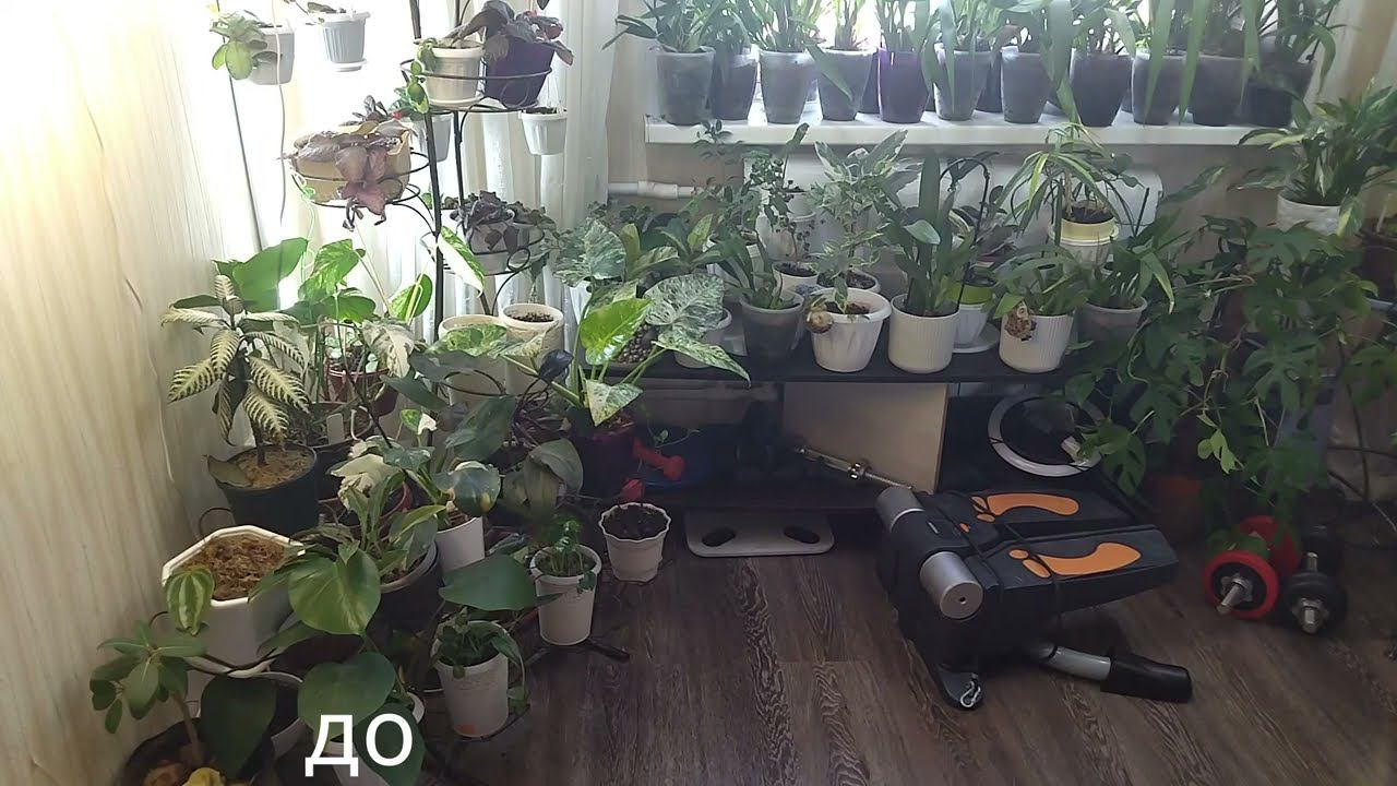 Моя цветочная переделка в фото. Цветы в интерьере. смотреть онлайн