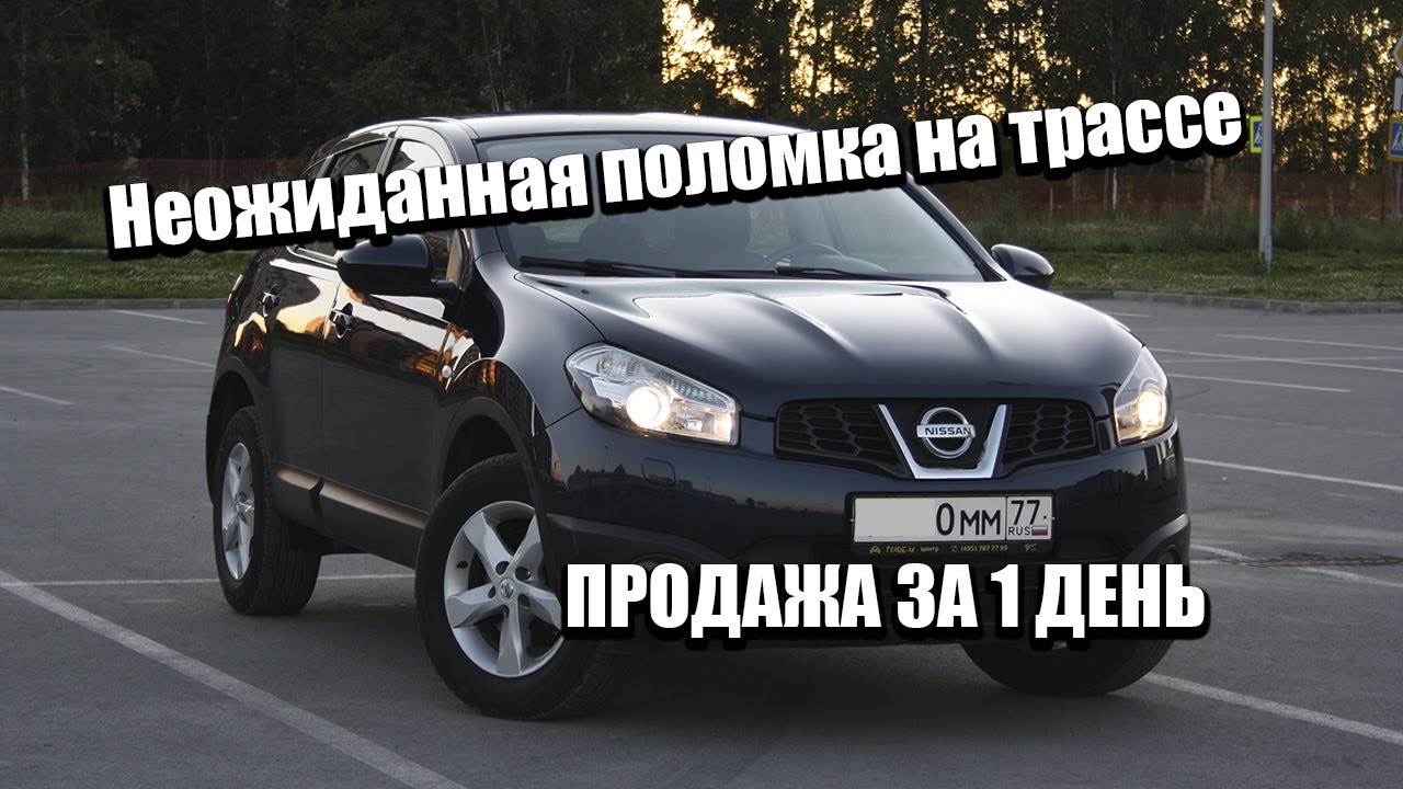 Поездка за Кашкаем в Москву. Дорога от Москвы до Новосибирска. #ОтПокупкиДоПродажи смотреть онлайн