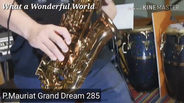 What a Wonderful World play by Koh Mr.Saxman with Alto Saxophone P.Mauriat Grand Dream 285 смотреть онлайн