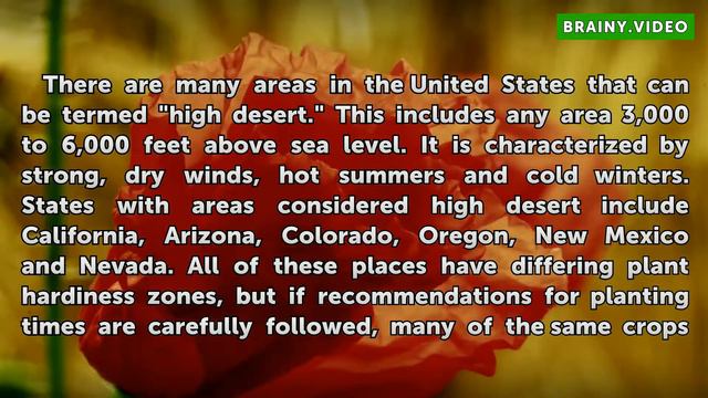 What Food Plants Grow in the High Desert смотреть онлайн