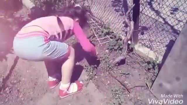 Садоводство Лены (как превратить работу а игру)#1 смотреть онлайн