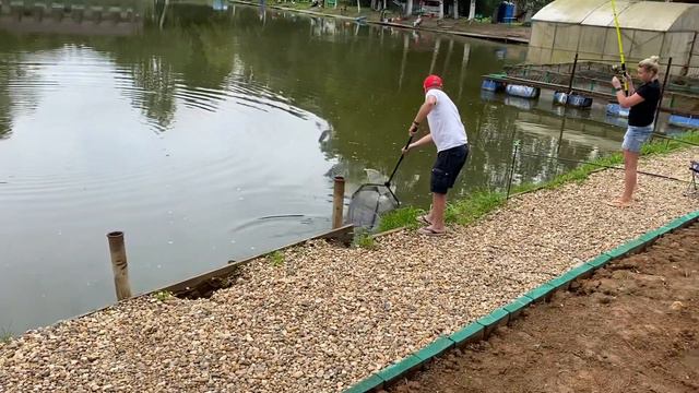 Форель в Ольгово смотреть онлайн