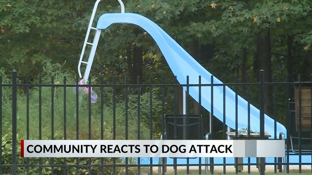 Deadly pit bull attack raises safety concerns смотреть онлайн