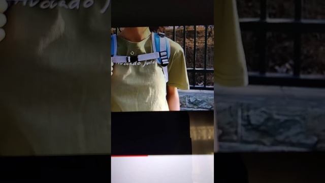 Рюкзак для кошек собак смотреть онлайн