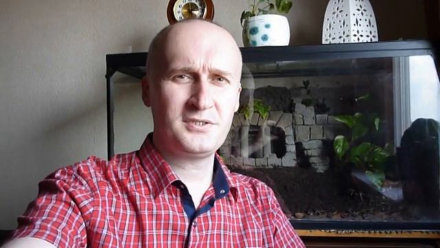 День Рождения Степана Каширина. смотреть онлайн