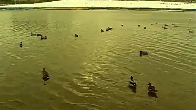 Moscow River in January смотреть онлайн