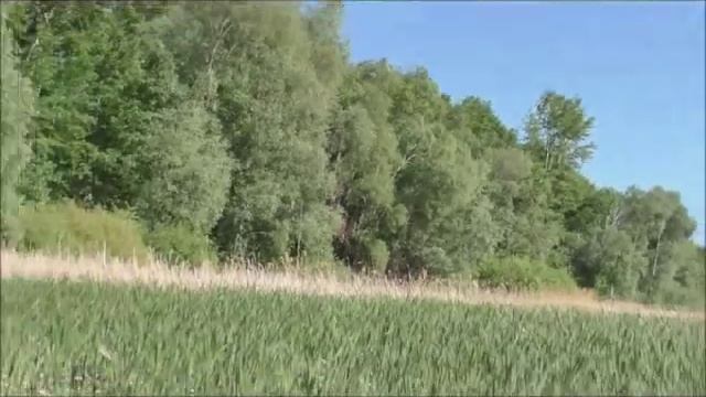 Река Волга, Ульяновская область,Старая Майна смотреть онлайн