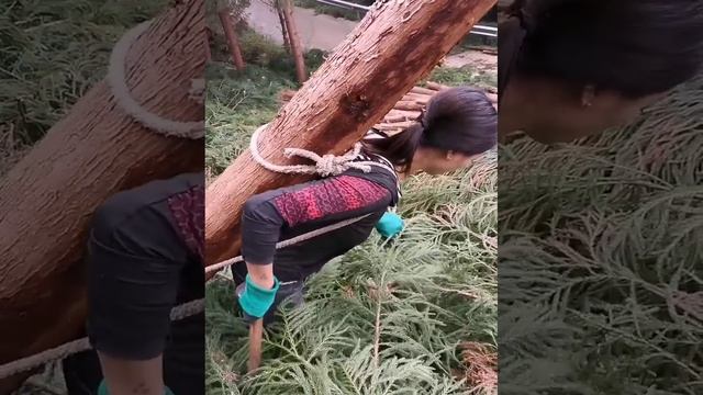 Молодая девушка с отличными навыками укладки плитки - непревзойденные навыки укладки плитки ЧАСТЬ 23 смотреть онлайн