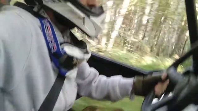 Утренняя БАГГИ прогулка. смотреть онлайн