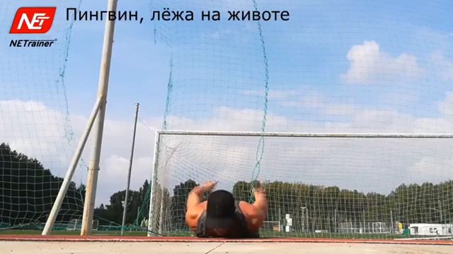 Пингвин, лежа на животе смотреть онлайн