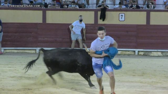 ? EL ÚLTIMO DÍA DE LA FAMOSA VACA NIEBLA // VINARÒS ▶ 4K | Especial ganadería Benavent | смотреть онлайн