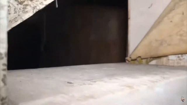 Ужастики на ночь глядя #привидения #паранормальное смотреть онлайн