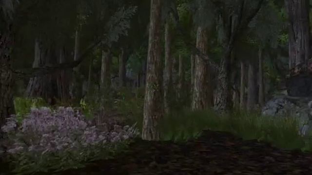 Skyrim - Home of the Nords - Vorndgad Forest (The Reach) смотреть онлайн