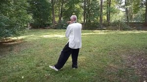 16 форм Тайцзицюань,