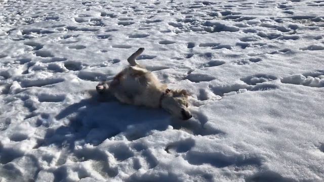 Зимние забавы, часть 1 смотреть онлайн