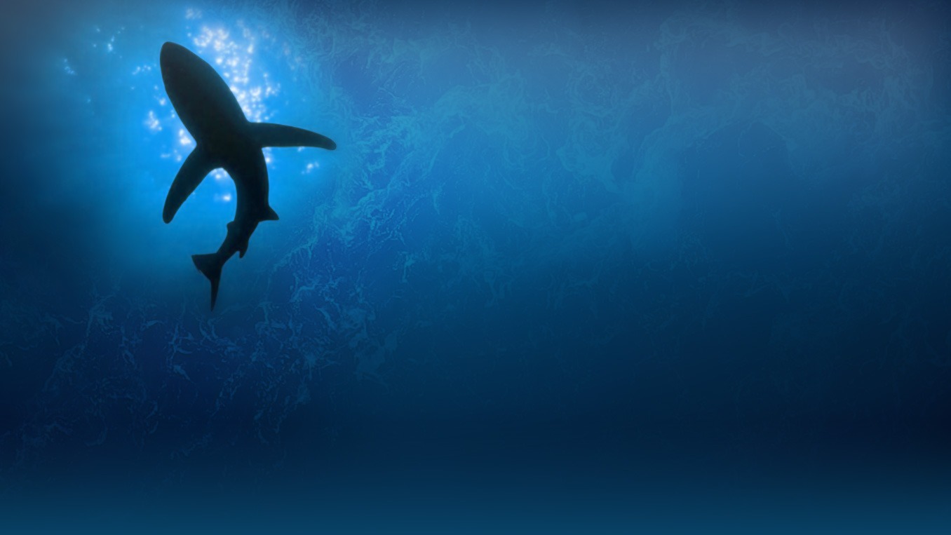 Продукция АО 