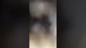 Рукъя от Сихра съеденного и выпитого