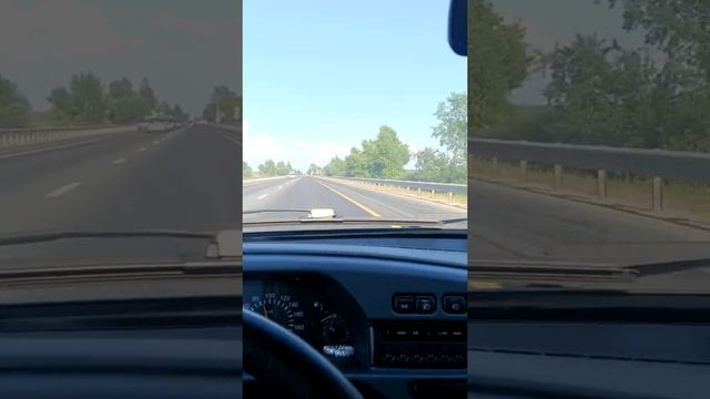 БШО Брудик едет в путешествие 🐺