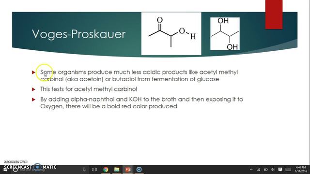 LSU Biol 2051 - Microbiology Lab - IMViC