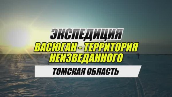 На лыжах в мороз сквозь огромное Васюганское болото