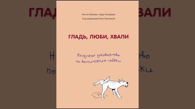 Прочтите это перед тем, как заводить собаку!#пудель #щенок#собака#тойпудель#мальтипу#воспитаниесоба смотреть онлайн