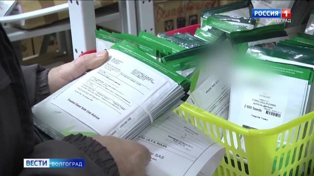 Специалисты Россельхознадзора проверяют импортные семена.mp4 смотреть онлайн