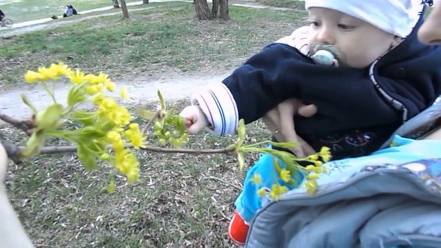 Ребенок первый раз в жизни увидел цветок. смотреть онлайн