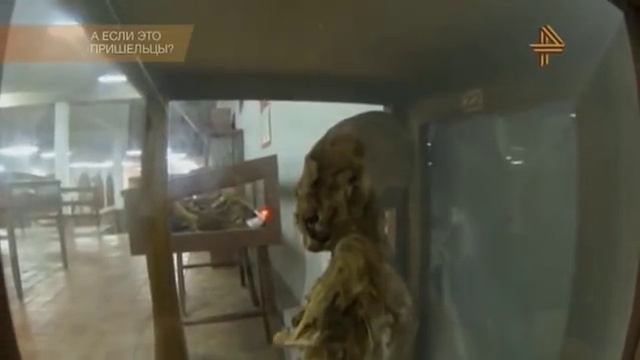 Власти США вышли на контакт с пришельцами. Новости неутешительны Секретная программа "проект Монток смотреть онлайн