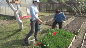 6 соток 10 мая 2023 года Хроника