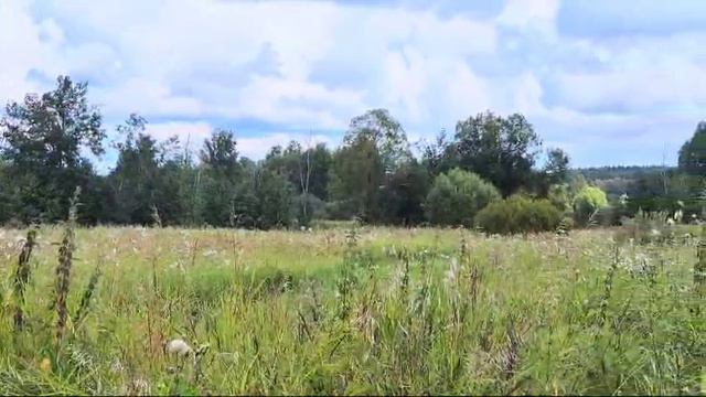 ЗУ Мостки: 692 смотреть онлайн