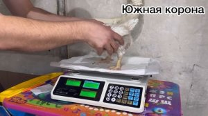 Сравнение комбикормов неделя третья ✌️