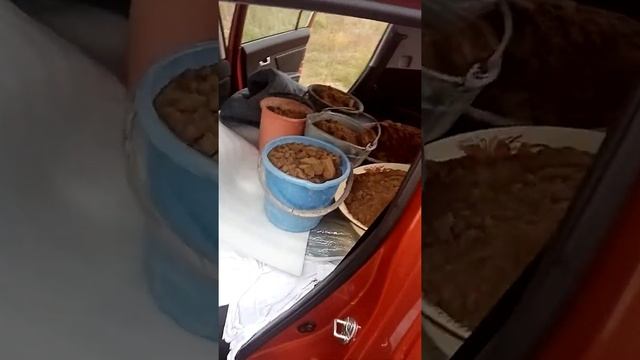 Киа спортейдж мини грузовик смотреть онлайн