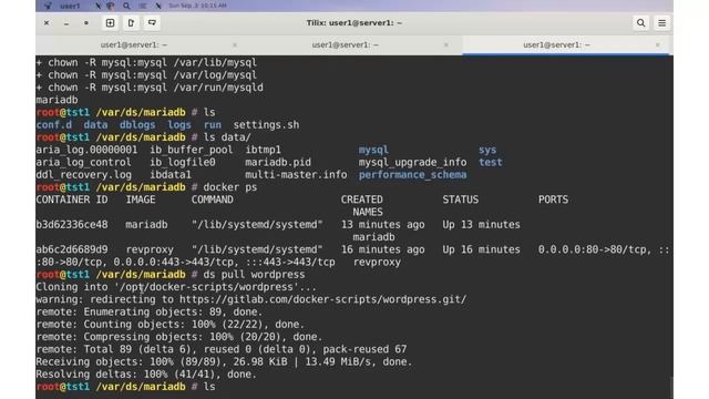 Self-hosting Wordpress sites with the help of docker-scripts смотреть онлайн