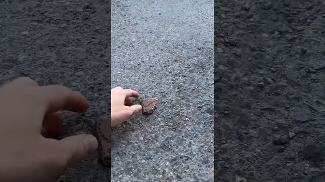 Вместо голубей шоколадку съела Варя / больше в инсте zhenatnamarine смотреть онлайн