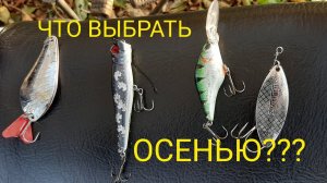 ЧТО ВЫБРАТЬ ОСЕНЬЮ? В ПОГОНЕ ЗА ЩУКОЙ!
