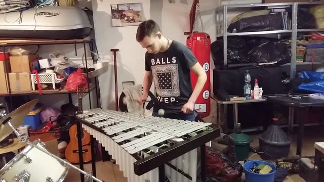 Demény Balázs - Halleluja(L. Cohen)Metalofon cover смотреть онлайн