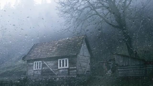 Шум дождя в лесу /Звуки дождя и грома для сна/Сон всю ночь#шумдождя#шум#звукиприроды#звукидлясна