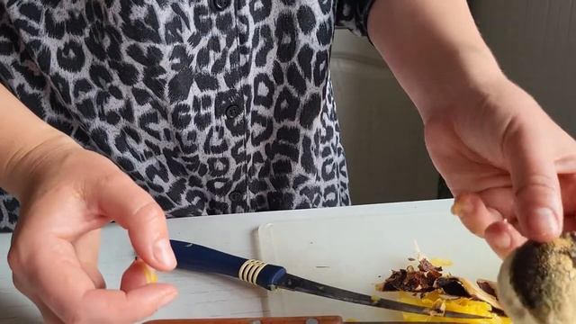 ЭКЗОТИЧЕСКИЕ ФРУКТЫ в домашних условиях! МАНГО! выращиваем из косточки. смотреть онлайн